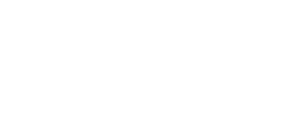 SBU Consulting